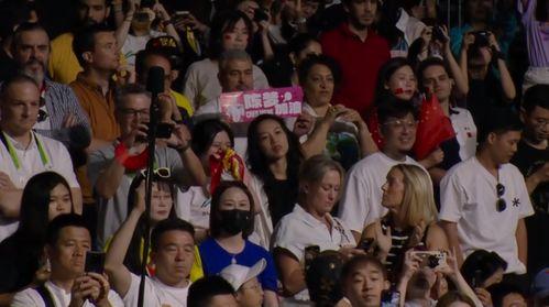 体育圈粉丝,激情燃烧的岁月，热血沸腾的追随