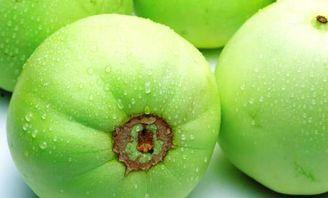 51朝阳吃瓜.17吃瓜fun